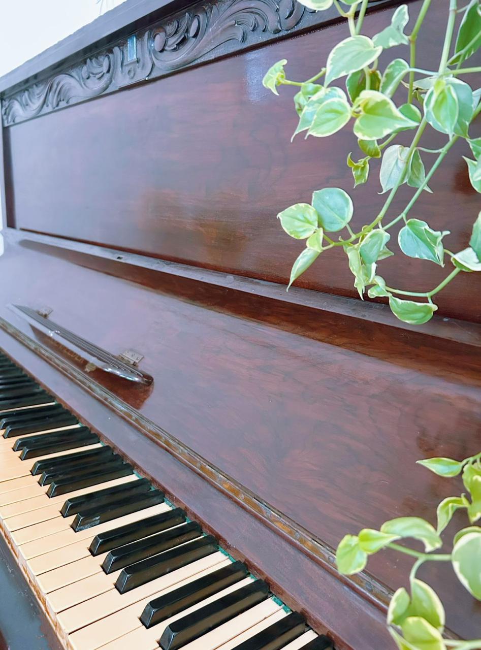Detalhe das teclas do piano antigo com folhas de trepadeira