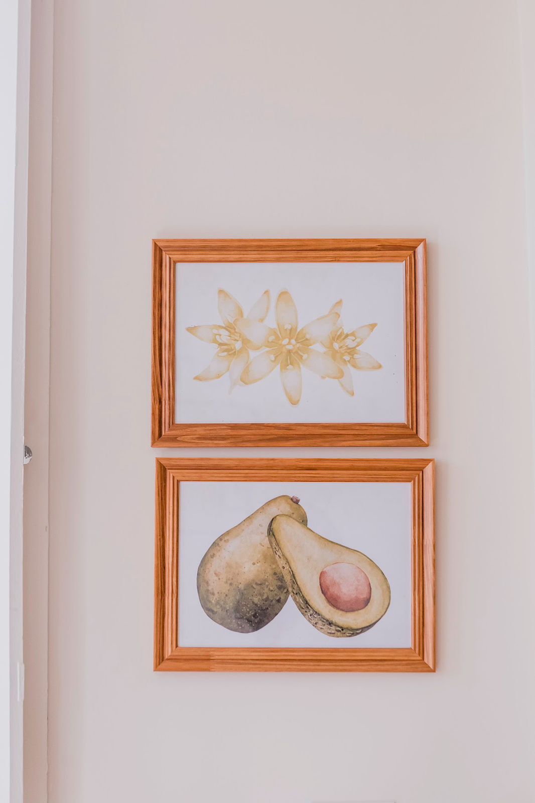 Quadro de abacate na decoração do Abacateiro Botafogo